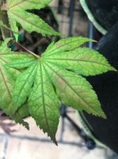 IMG_3099.jpg