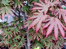 IMG_20220604_192757.jpg
