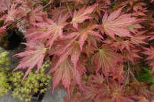 DSC01830.JPG