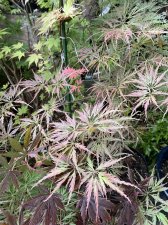 9D3C2FEF-D737-457C-A846-CC4761A23462.jpeg