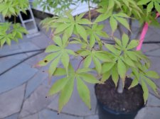 20220619_204313.jpg