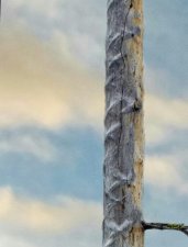 knot_grain1.jpg