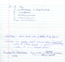 notes 2.png