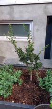 20220712_201204.jpg