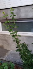20220712_201219.jpg