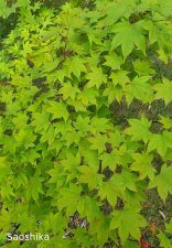 20220717_193813_v1.jpg
