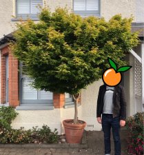 Big dream, original location.jpg