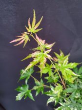 20220817_134943.jpg