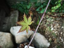 IMG_20220822_163316.jpg