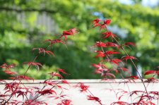 E2118A1A-2FB2-458F-8B28-984FF95F1543.jpeg
