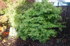 DSC03279.JPG