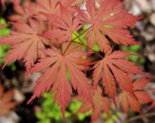 DSC02898.JPG