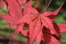 August_2007 093.jpg