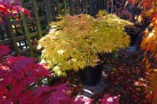 DSC02892.JPG
