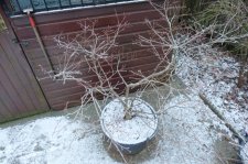 DSC03803.JPG