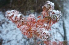 DSC03805.JPG