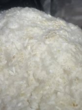6C6B458B-CB7D-48ED-8D03-8AAD2BC9B077.jpeg