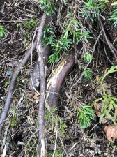 IMG_2859.jpeg