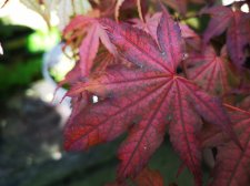 IMG_20230515_082740.jpg