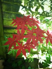 IMG_20230521_081823.jpg