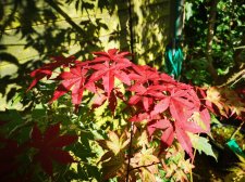 IMG_20230521_081837.jpg