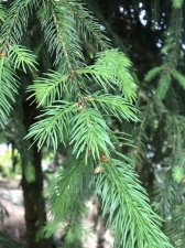 IMG_3122.jpeg