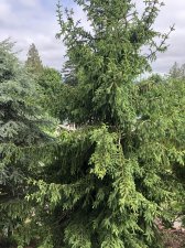 IMG_3133.jpeg