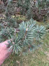 IMG_2161.jpeg