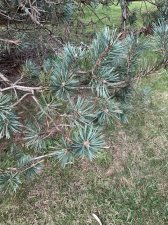 IMG_2160.jpeg