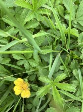 IMG_5891.jpeg
