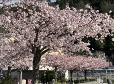 IMG_6595.jpeg
