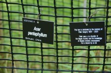 DSC_0020 (22).JPG