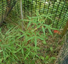 DSC_0021 (22).JPG