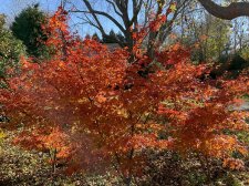 IMG_2189.jpg
