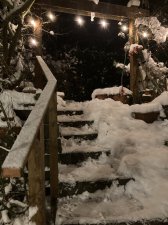 IMG_9836.jpeg