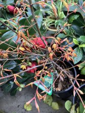 IMG_6037.jpeg