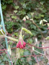IMG_5645.jpeg
