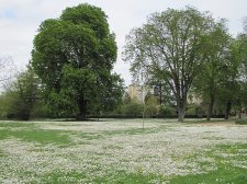 IMG_4407b.jpg