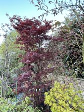 IMG_5898.jpeg