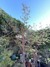 IMG_5894.jpeg