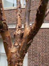 IMG_6059.jpeg