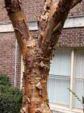 IMG_6057.jpeg