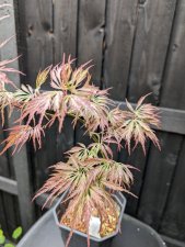 PXL_20240425_112300490.jpg