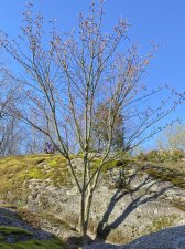 IMG_5969.jpeg