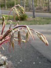 IMG_6137.jpeg