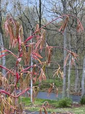 IMG_3480.jpeg
