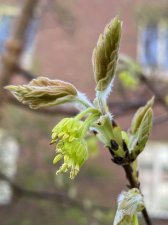 IMG_6466.jpeg