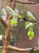 IMG_6472.jpeg