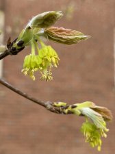 IMG_6482.jpeg