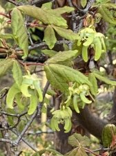 IMG_6676.jpeg